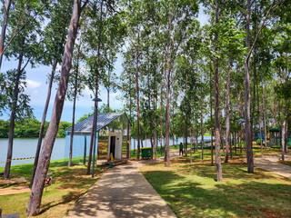 A beautiful public park with lots of green trees makes people enjoy a walk in West Jakarta.