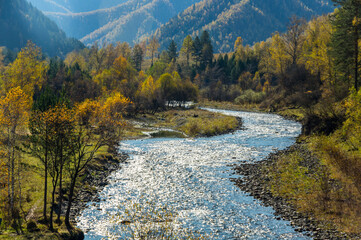 View of river in Altay mountains