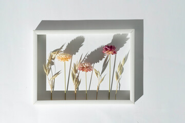Flowers in a window. Dry flowers in a white photo frame on light gray background. 