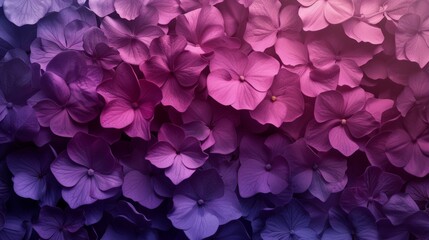 Create a mesmerizing backdrop showcasing an abundance of fragrant petals in a gradient of purple hues. This floral texture should evoke the essence of a blooming garden, blending, AI Generative - obrazy, fototapety, plakaty
