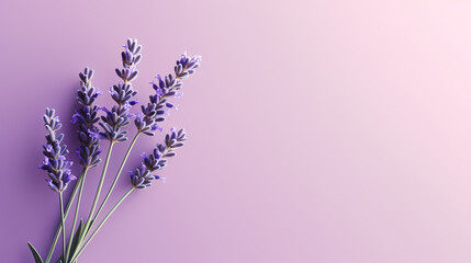 Naklejka premium A field of lavender flowers with a blurry sky in the background