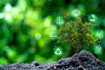 Tree growing on soil with environment icon for decrease CO2 , carbon footprint and carbon credit to...