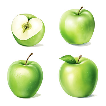 watercolor painting realistic Green apple isolated on white background. Clipping path included.