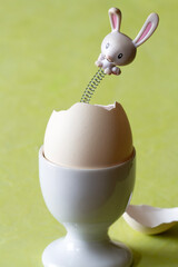 Easter bunny popping out of cracked eggshell, surprise egg, creative easter concept