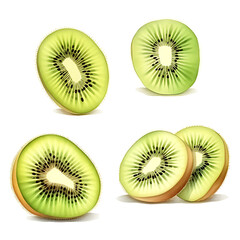 Fototapeta premium watercolor painting realistic Kiwi isolated on white background. Clipping path included.