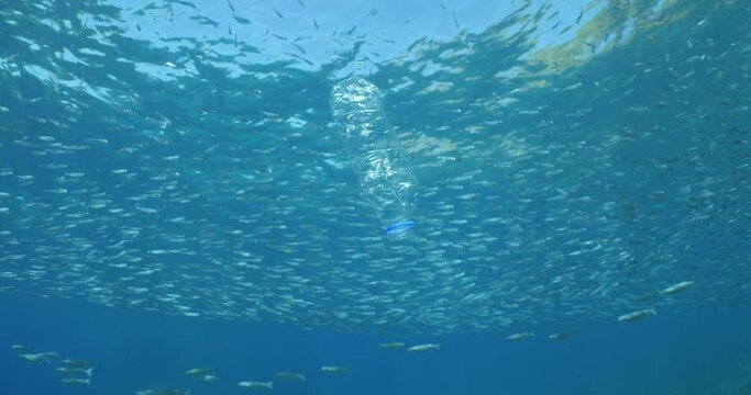 plastic bottle  underwater ocean pollution with sun beams and rays