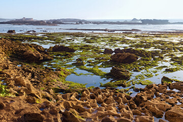 Picturesque view of the volcanic shore of the Atlantic Ocean in the area of Essaouira in Morocco in...