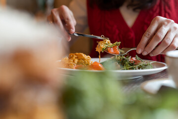 Woman eating healthy morning meal. Healthy breakfast with salmon, scrambled eggs, fresh herbs, cheese and tomatoes