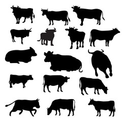set of cow.cow silhouettes set isolated on white background vector. cow with different poses like sitting,running.