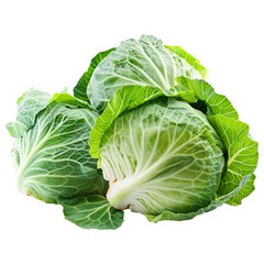 cabbage isolated on transparent background