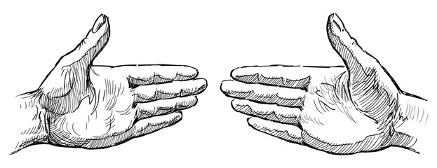 Hand drawing of two human palms in friendly gesture, sketch black and white isolated on white - 745224384