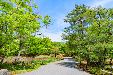 さわやかな新緑　福島 浄楽園
