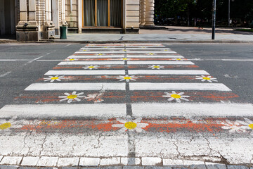 Colorful pedestrian crossing with daisy flowers painted on the street in Kutaisi city center, Georgia. © Cleop6atra