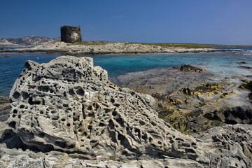 Shale cliffs at Capo Falcone. Tower la Pelosa Stintino (SS), Sardinia. Italy