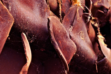 Rusted pieces of torn metal.