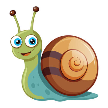 Vector of cartoon snail illustration on white
