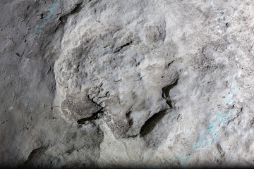 Well-preserved fossilized herbivore dinosaur footprint on a rock in Sataplia Strict Nature Reserve,...