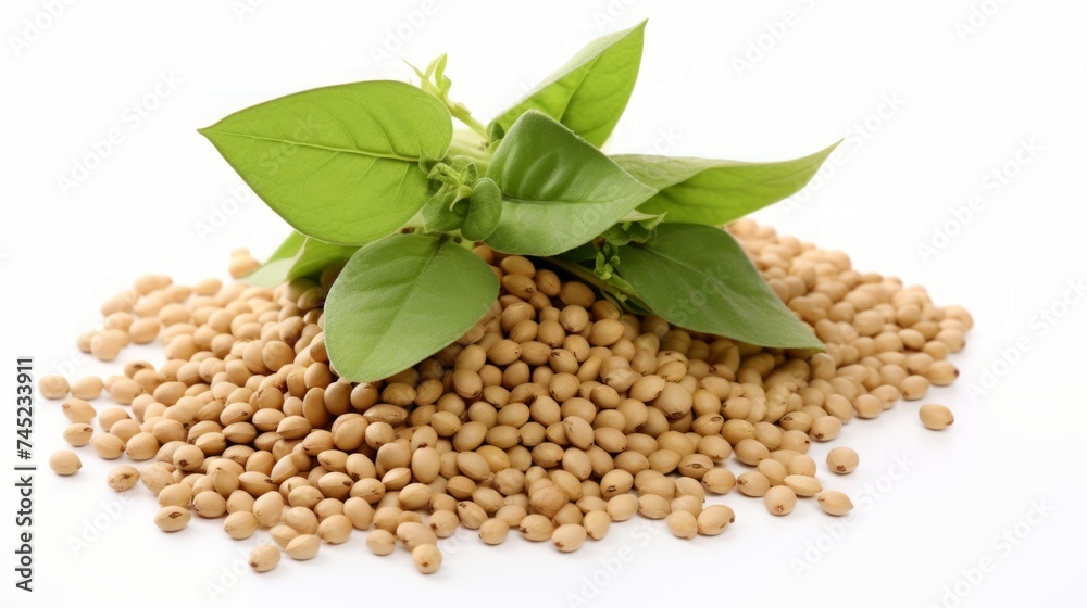 Poster Close-up realistic photo featuring a small pile of soybeans on a white background Generative AI