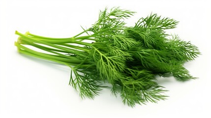 Close-up realistic photo showcasing three aromatic, fresh dill leaves on a white background Generative AI