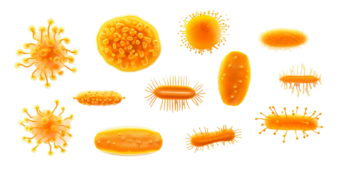 Collection of orange viruses, germs and bacteria isolated on a white background as transparent PNG
