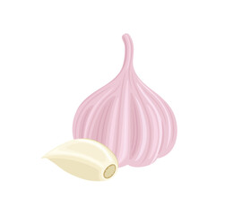 Garlic bulb and garlic clove isolated on white. Vector cartoon flat illustration.