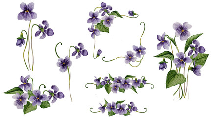 Set of watercolor spring purple flowers bouquet, border, frame. Hand drawn violets ornaments.