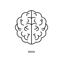brain concept line icon. Simple element illustration. brain concept outline symbol design.