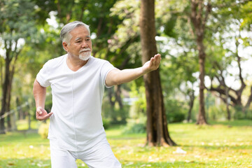 asian senior man workout and practice tai chi in the park