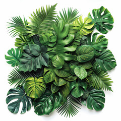 Obraz premium tropical leaves and jungle foliage, featuring a variety of shapes and shades of green, meticulously arranged and isolated on a pure white background.