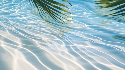 Tropical leaf shadow on water surface with shadow of palm leaves on white sand beach - obrazy, fototapety, plakaty