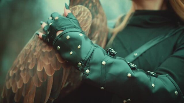 art portrait fantasy woman hand hugs holding stroking pet wings feathers white-tailed eagle wild bird. Elf girl warrior beauty croped face sexy lips Lady queen hunter black armor, nature dark trees 4k