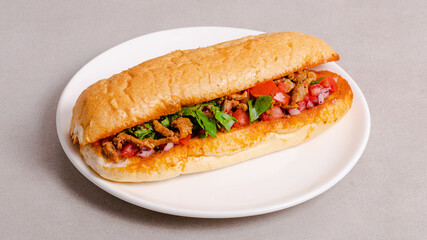 Chicken doner kebab isolated
