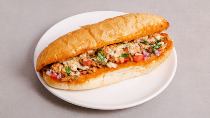 Chicken doner kebab isolated