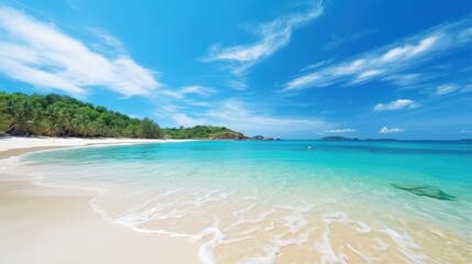 Nature's tropical beauty unfolds on the sandy beach, where the azure sea meets the blue sky in...