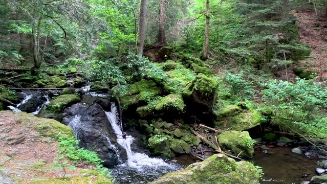 Beautiful river stream running through the Black Forest in Germany. Tall mountains, trees and spectacular views of nature surround the scene. Located in Breitnau, Baden-W&uuml;rttemberg Germany.