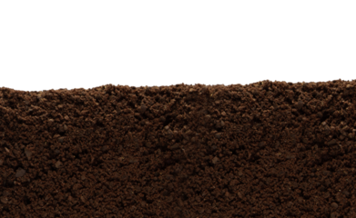 Cross-section of the earth. On an empty background. PNG