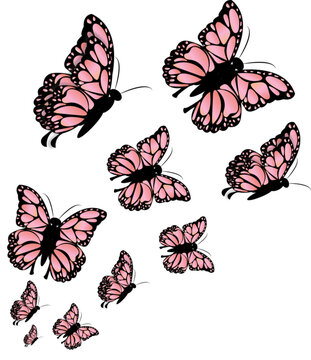 vector flat butterflies flying background with pink color gradient