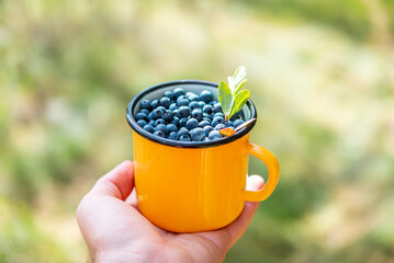 The girl holds a yellow metal mug with ripe blueberries in her hand