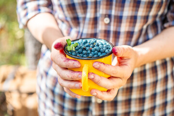 The girl holds a yellow metal mug with ripe blueberries in her hand. Close up  blueberries illuminated by the sun.