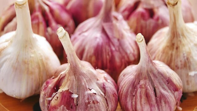 Gyration old garlic on a wooden table background.