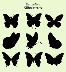hand drawn clipart  vector silhouette butterfly template collection