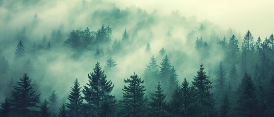 a forest filled with lots of green trees covered in a blanket of fog and smoggy skies with mountains in the distance - obrazy, fototapety, plakaty