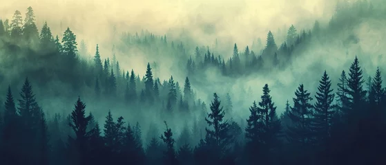Foto auf Acrylglas Antireflex a forest filled with lots of green trees covered in a blanket of fog and smoggy skies with mountains in the distance © LELISAT