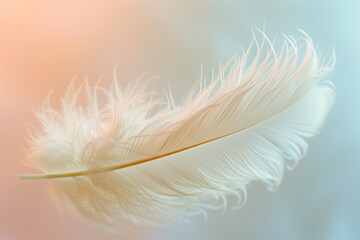 A delicate white bird feather, intricately detailed and gently resting on a soft pastel-colored background.