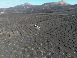Vigneti Geria su terreni vulcanici a Lanzarote