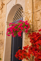 Characteristic door with flowers in the characteristic alleys in Mdina in Malta - 745272775