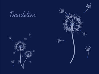 Abstract background dandelion design for decoration design.