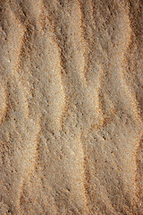 Waves on the surface of the sand, top view. The wavy surface of coastal sand. The structure of waves on sea sand.