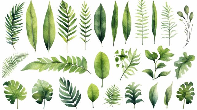 Set of watercolor illustrations with different green exotic leaves. Botanical illustration on white background for wedding, congratulations, wallpapers, fashion, backdrops, wrappers, print