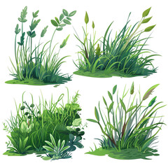 set of 2d illustration of grass on transparent background